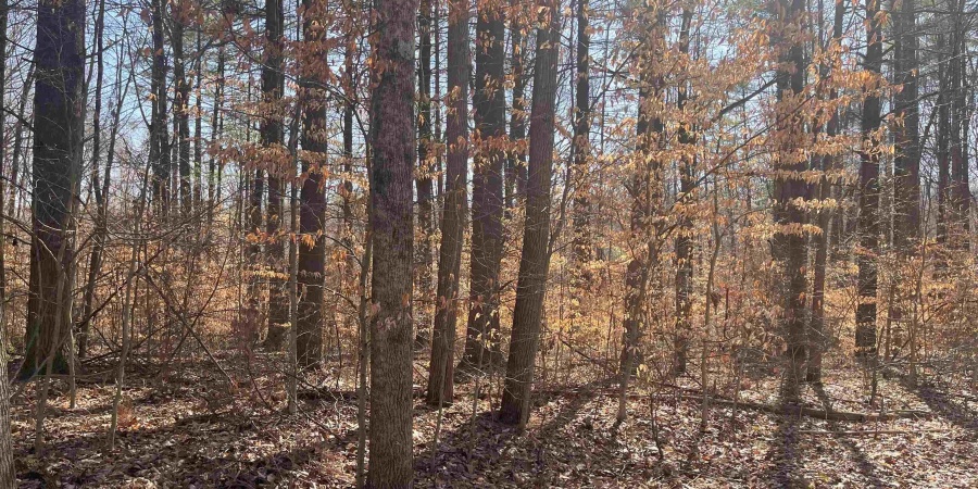 6630 E Rust Road, Unionville, Indiana 47468,MLS,202527391