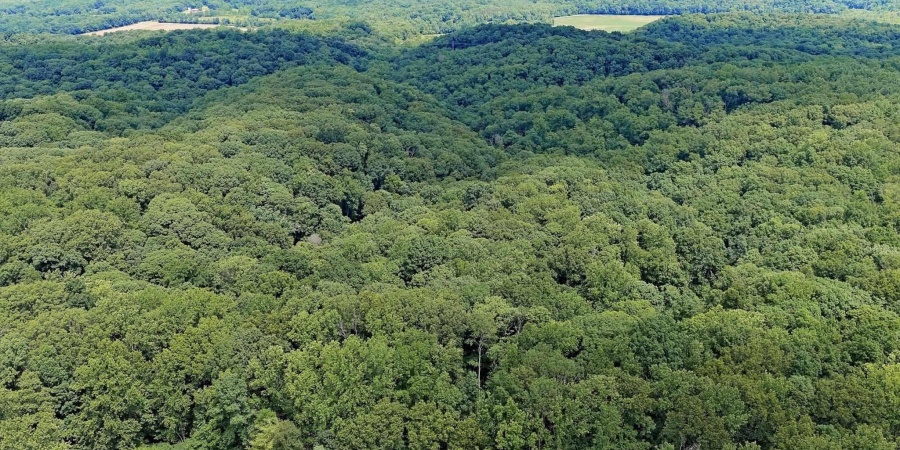 TBD N Shilo Road, Unionville, Indiana 47468,MLS,202527437