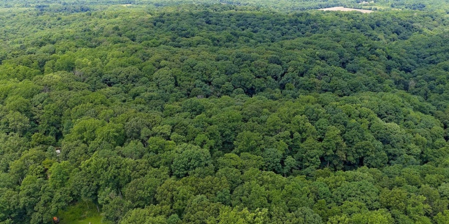 TBD N Shilo Road, Unionville, Indiana 47468,MLS,202527437