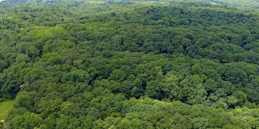 TBD N Shilo Road, Unionville, Indiana 47468,MLS,202527437