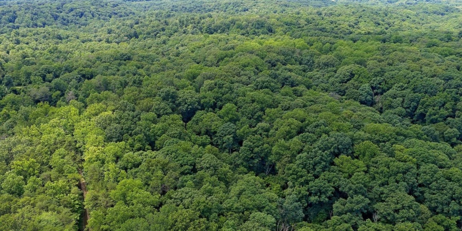 TBD N Shilo Road, Unionville, Indiana 47468,MLS,202527437