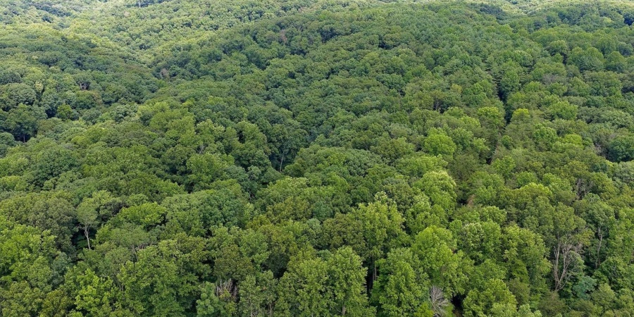 TBD N Shilo Road, Unionville, Indiana 47468,MLS,202527437