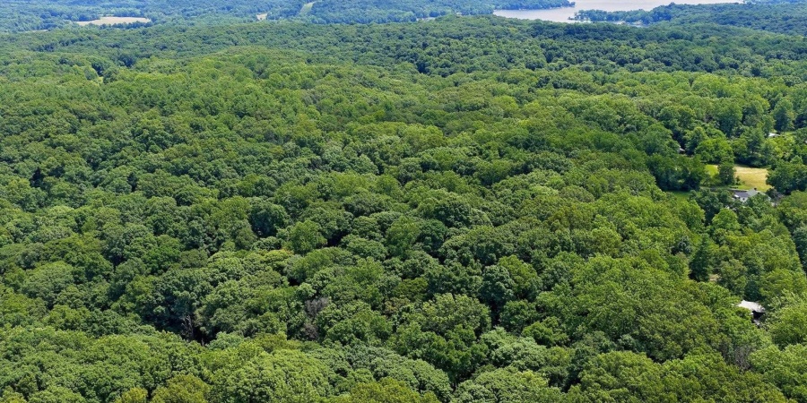 TBD N Shilo Road, Unionville, Indiana 47468,MLS,202527437