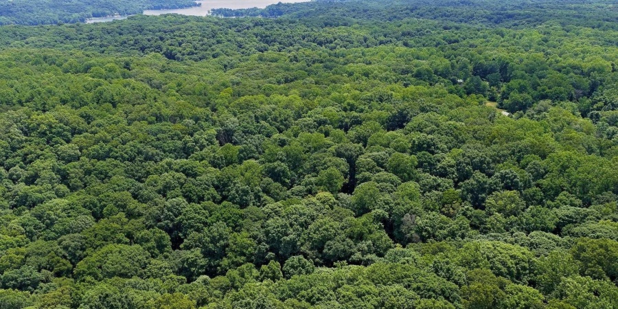 TBD N Shilo Road, Unionville, Indiana 47468,MLS,202527437