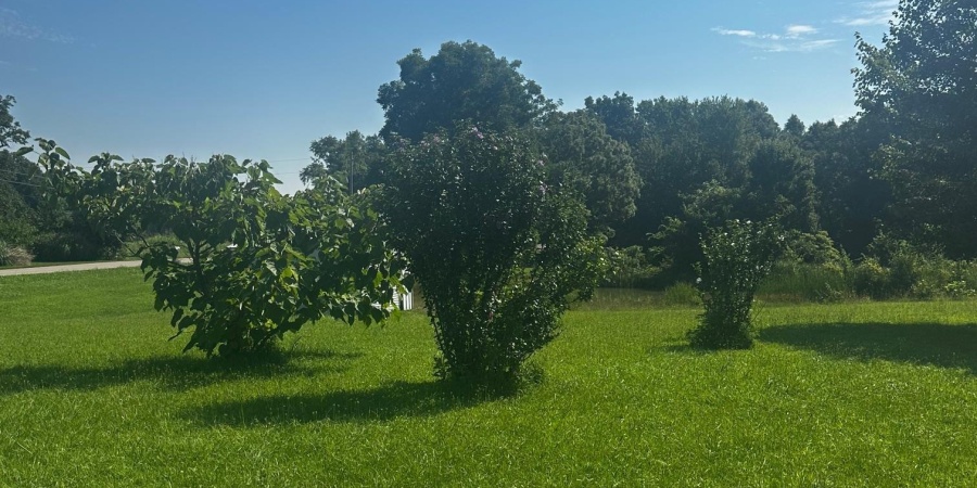 2456 Hyden Road, Spencer, Indiana 47460,MLS,202527862