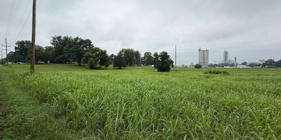 698 E Frank St - Lot 1, Mitchell, Indiana 47446,MLS,202528184