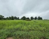 698 E Frank St - Lot 1, Mitchell, Indiana 47446,MLS,202528184