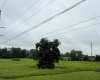 698 E Frank St - Lot 2, Mitchell, Indiana 47446,MLS,202528190