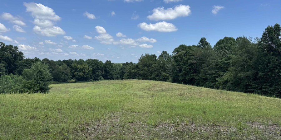 0 Newark Road, Solsberry, Indiana 47459,MLS,202528271