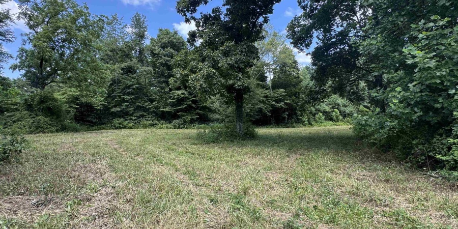 0 Newark Road, Solsberry, Indiana 47459,MLS,202528271