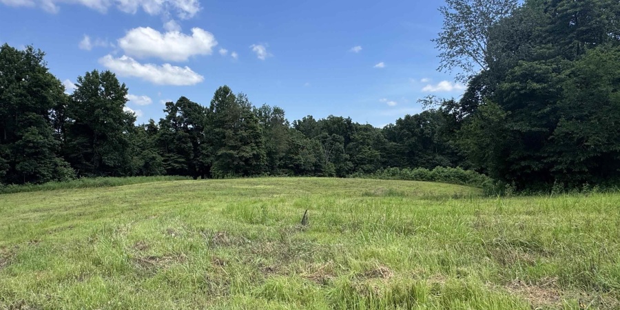 0 Newark Road, Solsberry, Indiana 47459,MLS,202528271