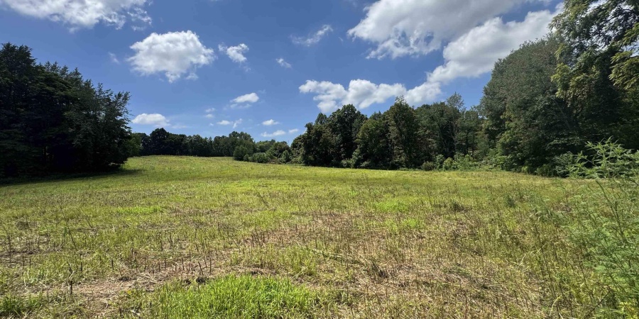 0 Newark Road, Solsberry, Indiana 47459,MLS,202528271