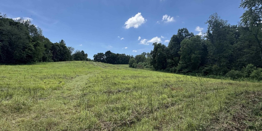 0 Newark Road, Solsberry, Indiana 47459,MLS,202528271