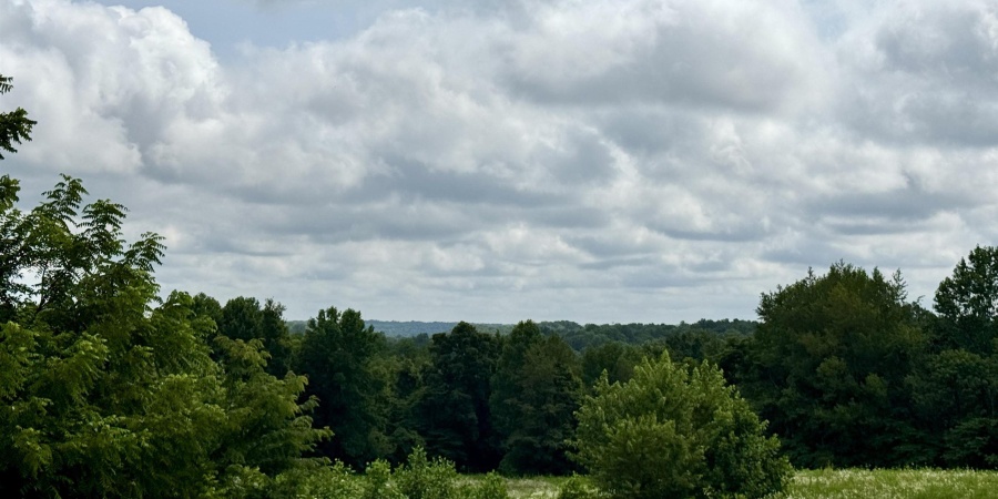 0 Newark Road, Solsberry, Indiana 47459,MLS,202528271