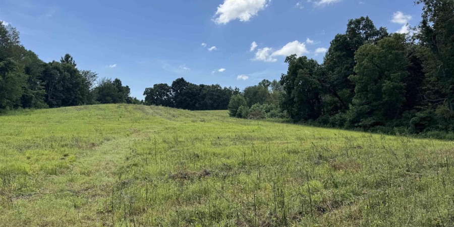 0 Newark Road, Solsberry, Indiana 47459,MLS,202528271