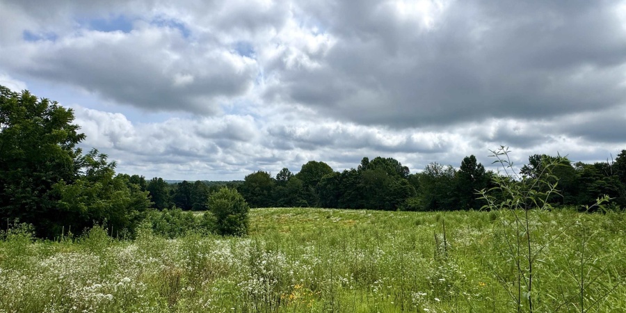 0 Newark Road, Solsberry, Indiana 47459,MLS,202528271