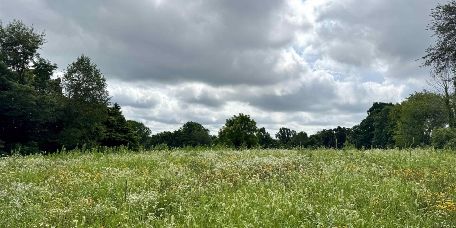 0 Newark Road, Solsberry, Indiana 47459,MLS,202528271