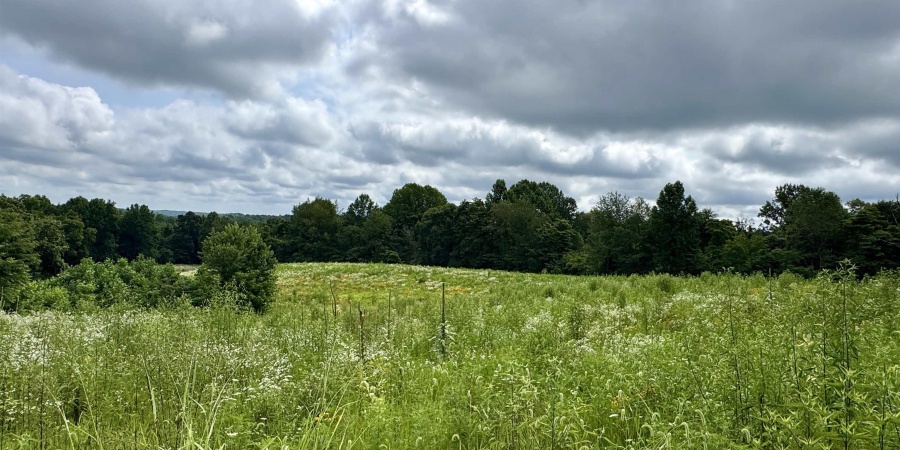 0 Newark Road, Solsberry, Indiana 47459,MLS,202528271