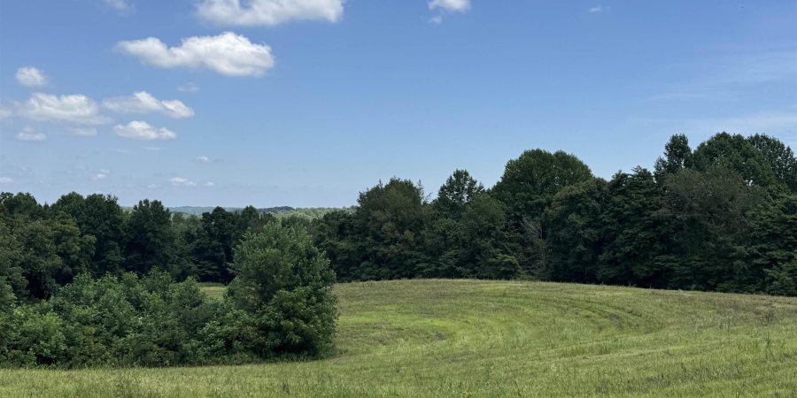 0 Newark Road, Solsberry, Indiana 47459,MLS,202528271