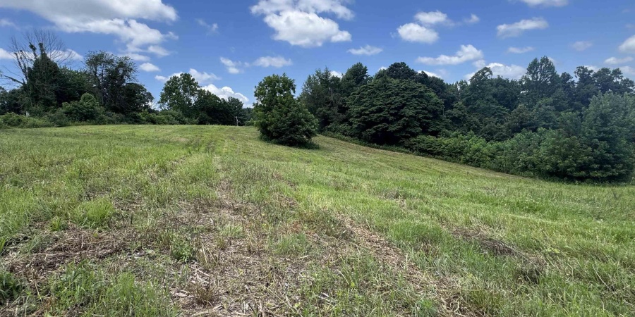 0 Newark Road, Solsberry, Indiana 47459,MLS,202528271