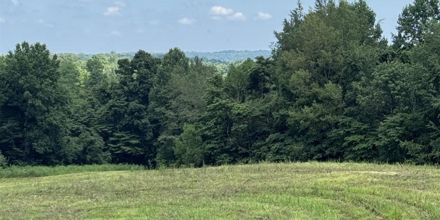 0 Newark Road, Solsberry, Indiana 47459,MLS,202528271