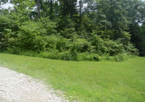 00 Denali Road, Spencer, Indiana 47460,MLS,202528459