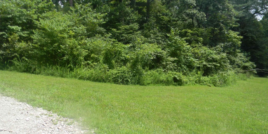 00 Denali Road, Spencer, Indiana 47460,MLS,202528459