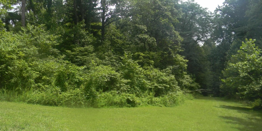00 Denali Road, Spencer, Indiana 47460,MLS,202528459