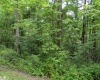 00 Denali Road, Spencer, Indiana 47460,MLS,202528459