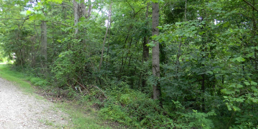 00 Denali Road, Spencer, Indiana 47460,MLS,202528459