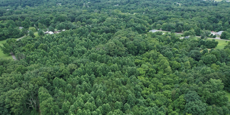 638 NORTH PIKE RD, Springville, Indiana 47462,MLS,202528767