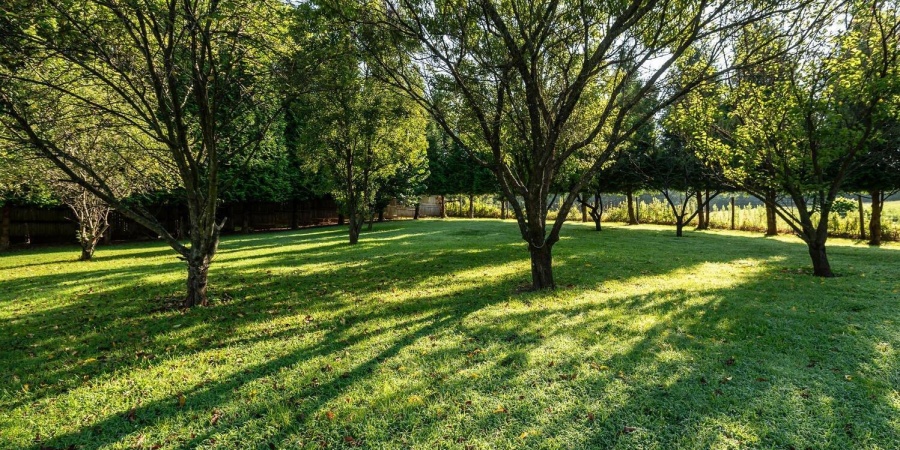 6622 N Matthews Drive, Ellettsville, Indiana 47429-9420,MLS,202529753