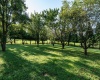 6622 N Matthews Drive, Ellettsville, Indiana 47429-9420,MLS,202529753