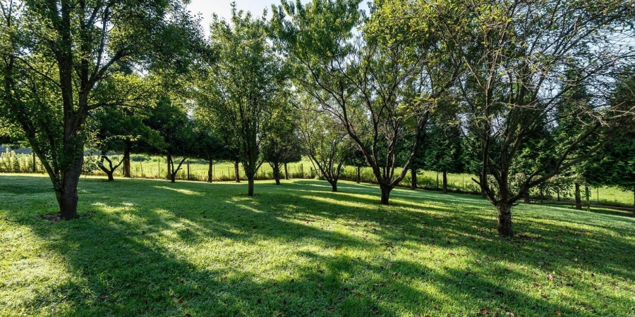 6622 N Matthews Drive, Ellettsville, Indiana 47429-9420,MLS,202529753
