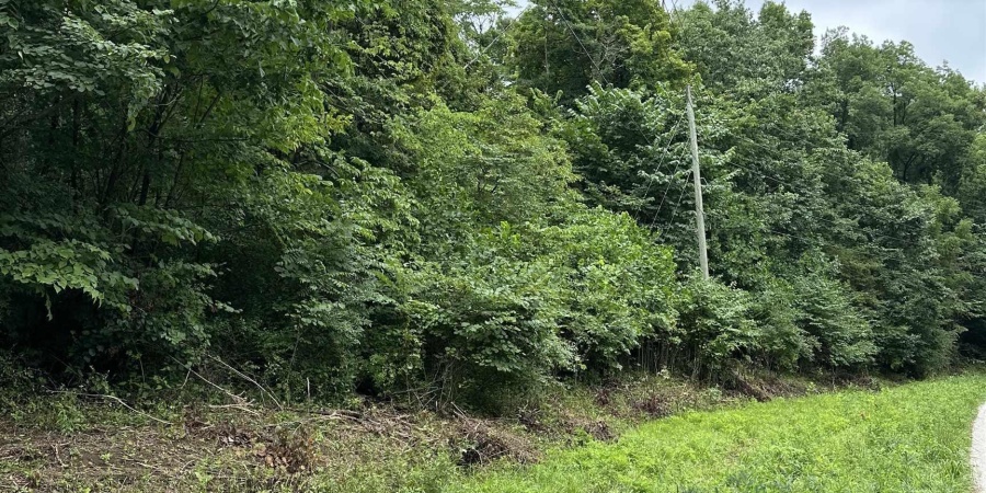 00 S Cataract Road, Spencer, Indiana 47460,MLS,202530143