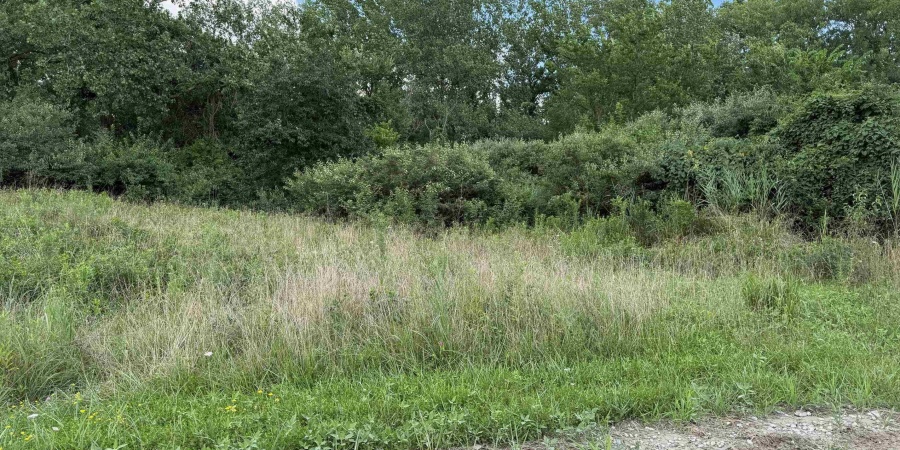 0000 S 1600 W Road, Carlisle, Indiana 47838,MLS,202530218