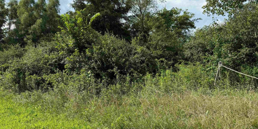 0000 S 1600 W Road, Carlisle, Indiana 47838,MLS,202530218