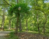 147 Hickory Knob Road, Nashville, Indiana 47448,MLS,202530769