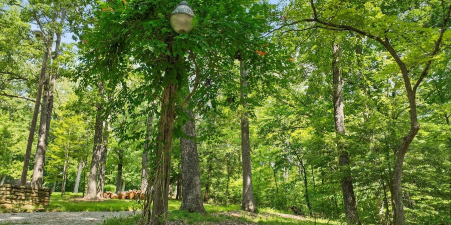 147 Hickory Knob Road, Nashville, Indiana 47448,MLS,202530769
