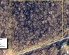 8517 E Sylvania Road, Bloomfield, Indiana 47424,MLS,202530812