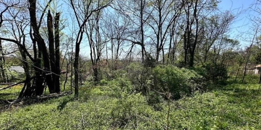 0 E Cunningham Street, Martinsville, Indiana 46151,MLS,202434128