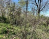 0 E Cunningham Street, Martinsville, Indiana 46151,MLS,202434128