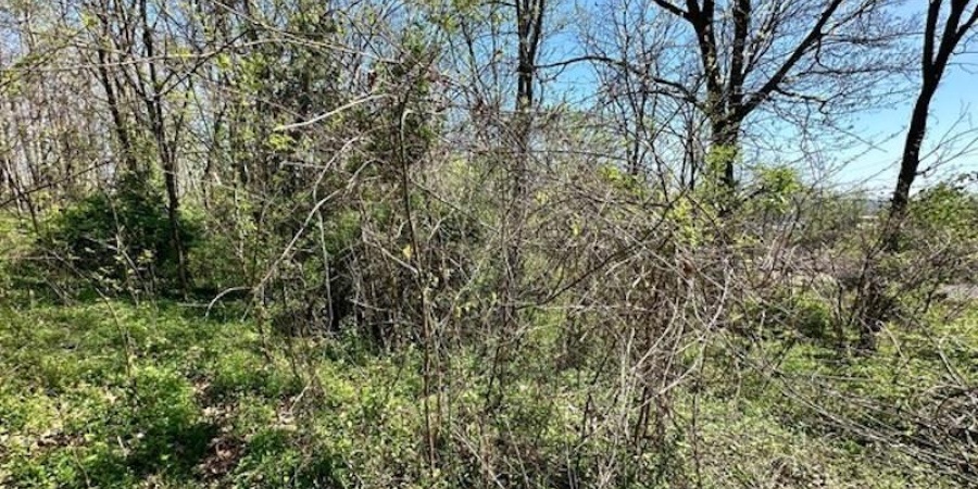 0 E Cunningham Street, Martinsville, Indiana 46151,MLS,202434128