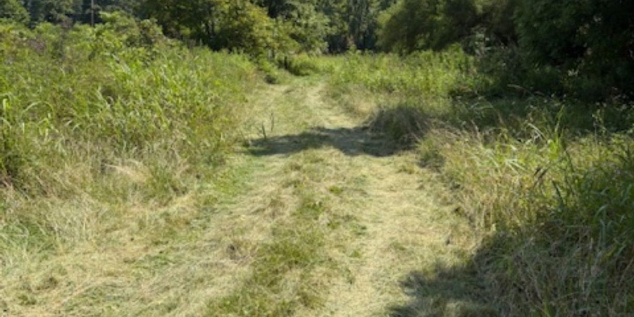 3946 Childers Road, Gosport, Indiana 47433,MLS,202531639