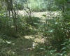 3946 Childers Road, Gosport, Indiana 47433,MLS,202531639