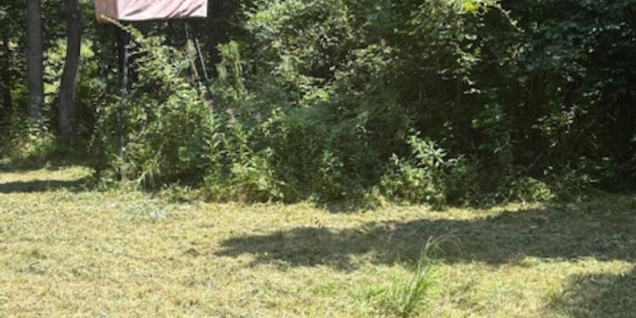3946 Childers Road, Gosport, Indiana 47433,MLS,202531639