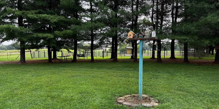 9825 W Mt Carmel Road, Gosport, Indiana 47433,MLS,202532303