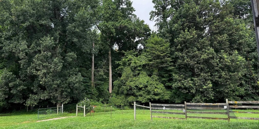 9825 W Mt Carmel Road, Gosport, Indiana 47433,MLS,202532303