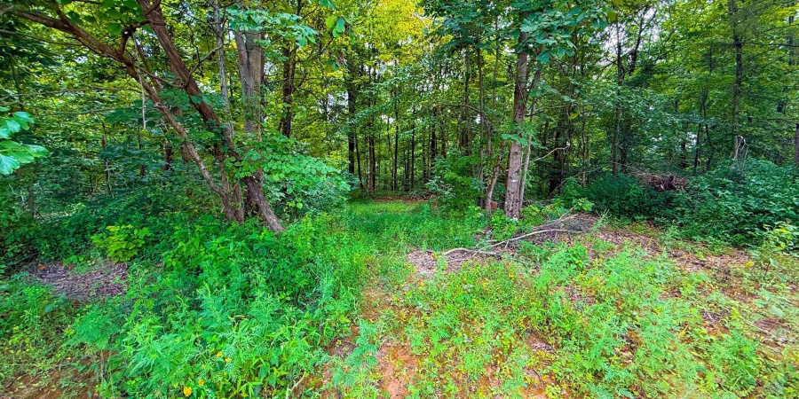 5718 Harrington Road, Freedom, Indiana 47431,MLS,202532461