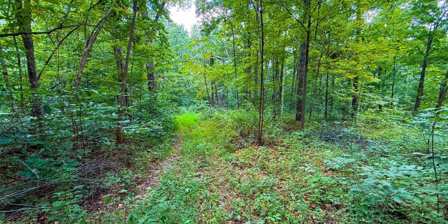 5718 Harrington Road, Freedom, Indiana 47431,MLS,202532461